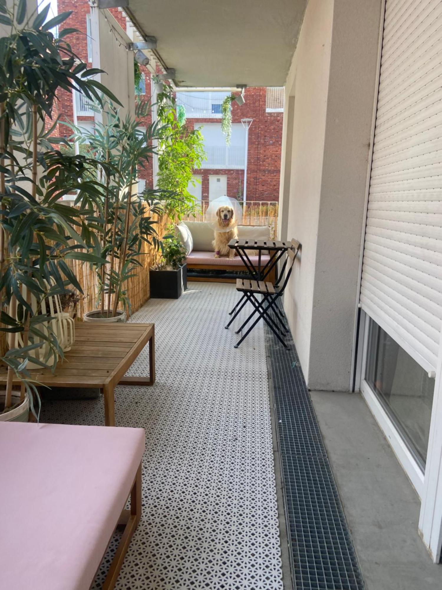 Chambre Chaleureuse Et Cosy Lille Exterior foto